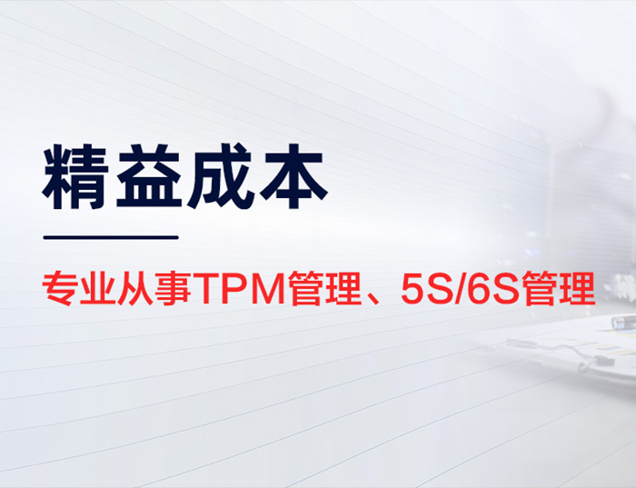 咨询服务行业推广案例